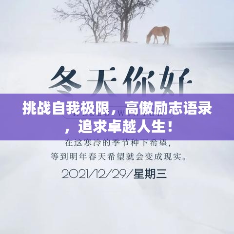 挑战自我极限，高傲励志语录，追求卓越人生！