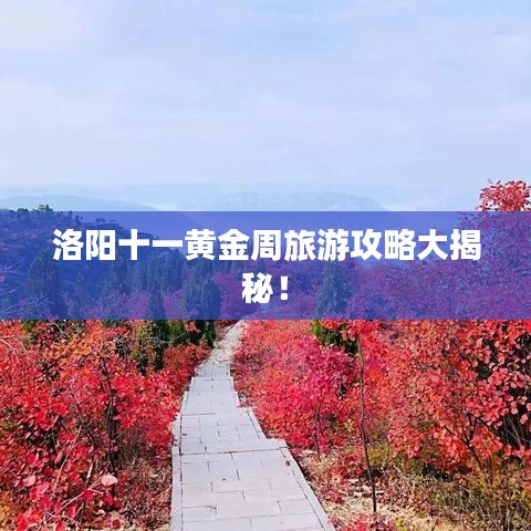 洛阳十一黄金周旅游攻略大揭秘！