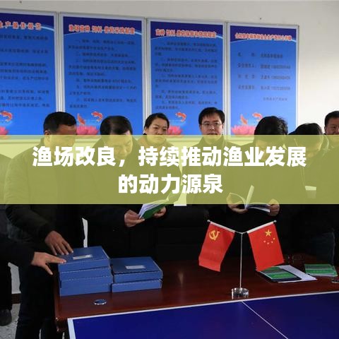 渔场改良,持续推动渔业发展的动力源泉