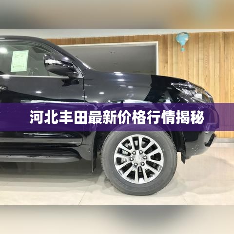 官方免费下载音乐或正义枪战vr激活码,完善系统评估|升级版_v6.443