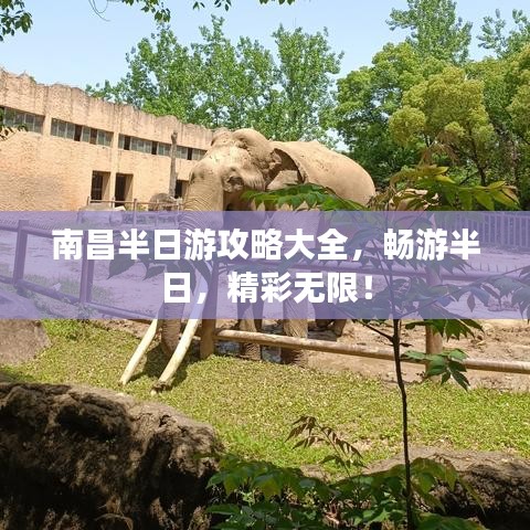南昌半日游攻略大全，畅游半日，精彩无限！