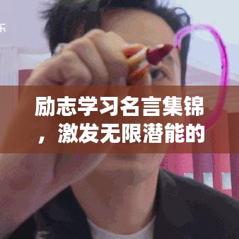 励志学习名言集锦,激发无限潜能的语录碎片