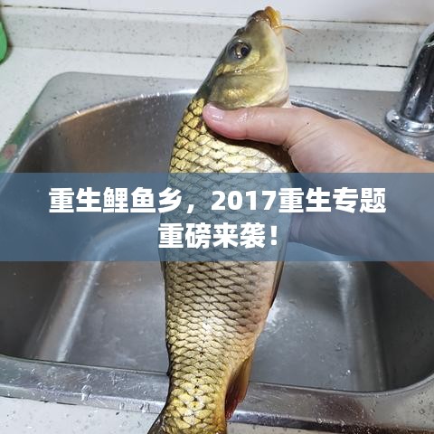 重生鲤鱼乡，2017重生专题重磅来袭！