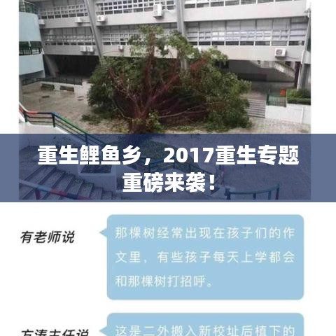 重生鲤鱼乡,2017重生专题重磅来袭!