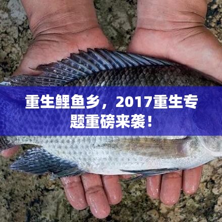 重生鲤鱼乡,2017重生专题重磅来袭!