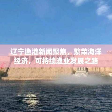 辽宁渔港新闻聚焦，繁荣海洋经济，可持续渔业发展之路