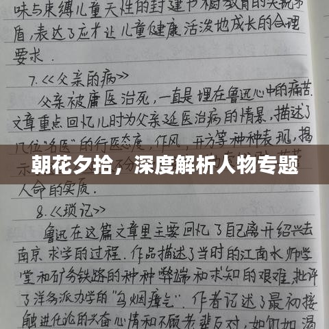 朝花夕拾,深度解析人物专题