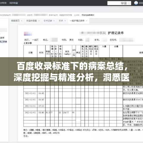 百度收录标准下的病案总结,深度挖掘与精准分析,洞悉医疗数据价值!