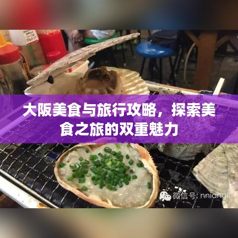 大阪美食与旅行攻略，探索美食之旅的双重魅力