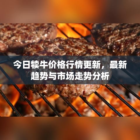 今日犊牛价格行情更新，最新趋势与市场走势分析