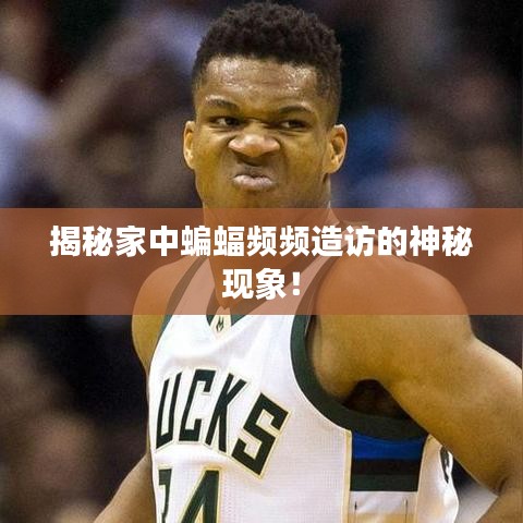 揭秘家中蝙蝠频频造访的神秘现象！