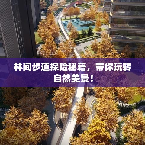 林间步道探险秘籍，带你玩转自然美景！