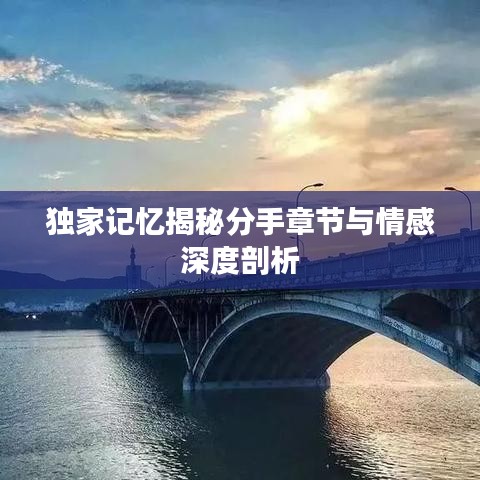 独家记忆揭秘分手章节与情感深度剖析