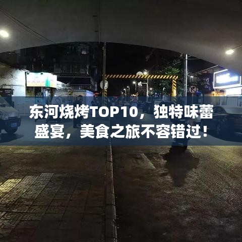 东河烧烤TOP10，独特味蕾盛宴，美食之旅不容错过！