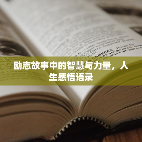 励志故事中的智慧与力量，人生感悟语录