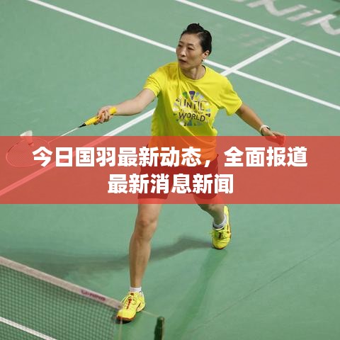 今日国羽最新动态，全面报道最新消息新闻
