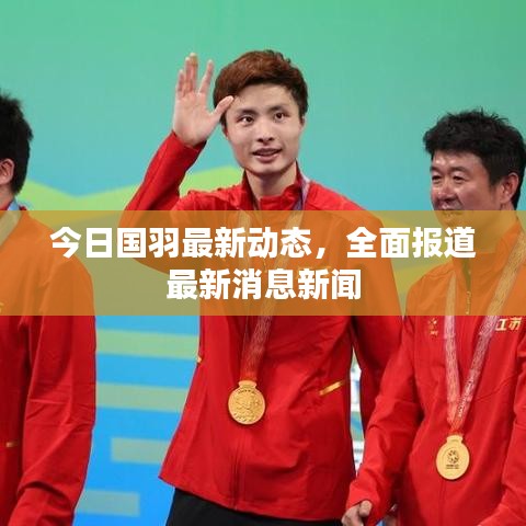 今日国羽最新动态,全面报道最新消息新闻