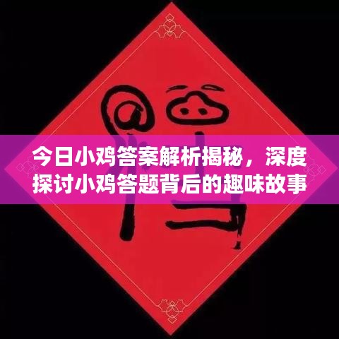 今日小鸡答案解析揭秘，深度探讨小鸡答题背后的趣味故事