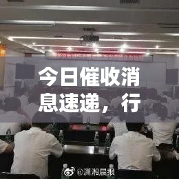 今日催收消息速递，行业动态与趋势深度解析