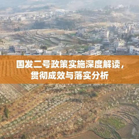 国发二号政策实施深度解读，贯彻成效与落实分析