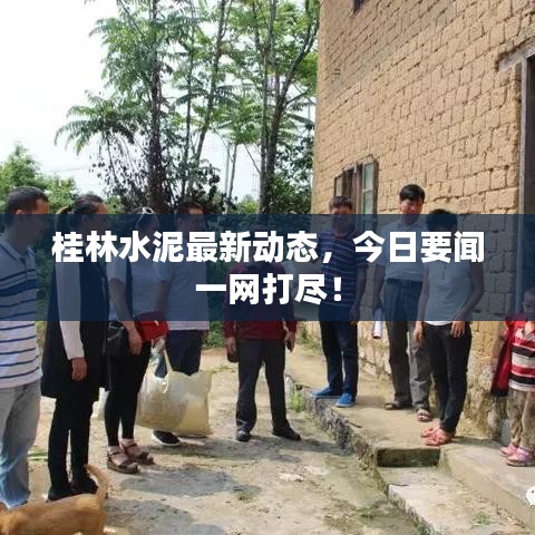 桂林水泥最新动态，今日要闻一网打尽！