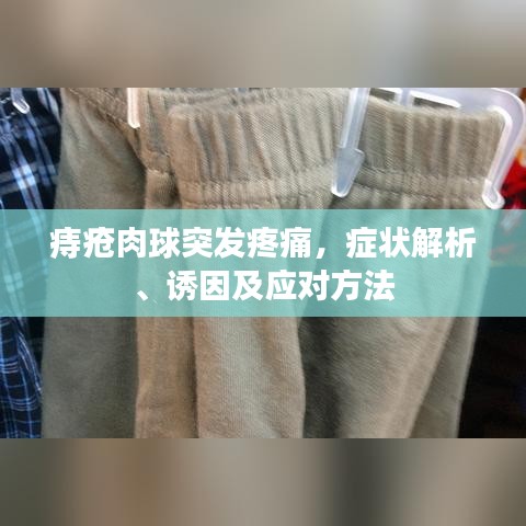 痔疮肉球突发疼痛，症状解析、诱因及应对方法