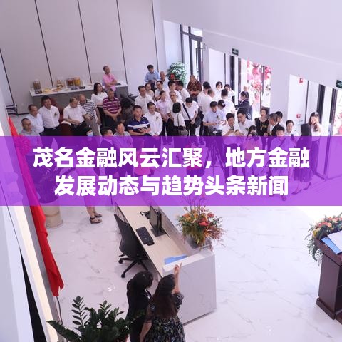 茂名金融风云汇聚,地方金融发展动态与趋势头条新闻