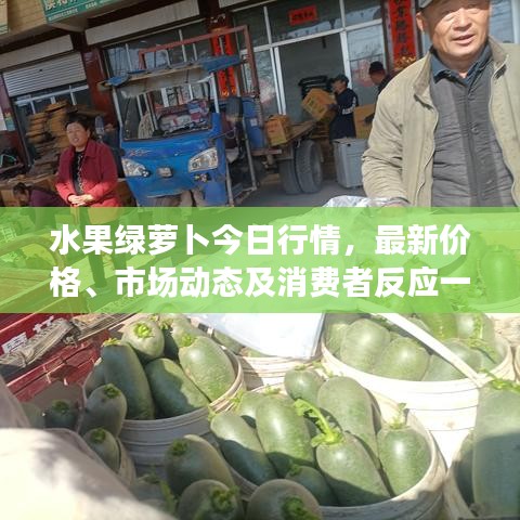 水果绿萝卜今日行情，最新价格、市场动态及消费者反应一网打尽