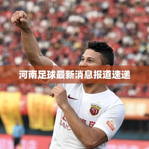 河南足球最新消息报道速递