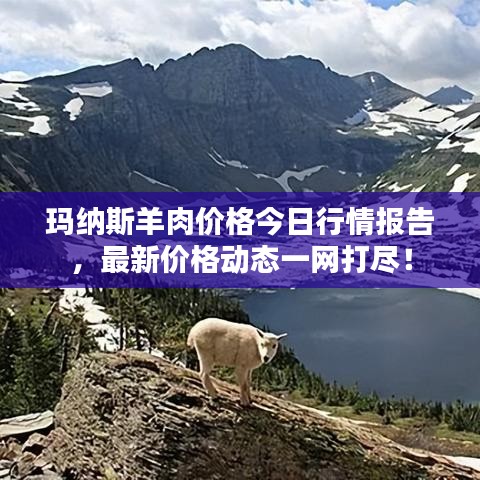 玛纳斯羊肉价格今日行情报告,最新价格动态一网打尽!