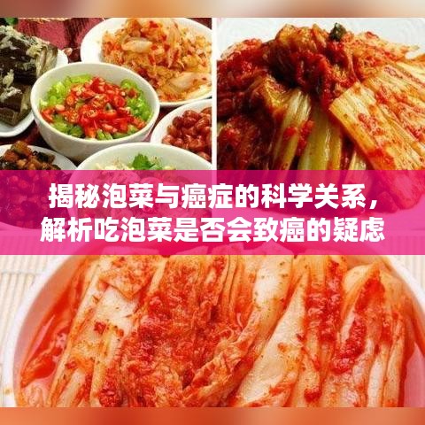 揭秘泡菜与癌症的科学关系，解析吃泡菜是否会致癌的疑虑