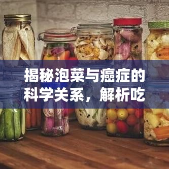 揭秘泡菜与癌症的科学关系,解析吃泡菜是否会致癌的疑虑