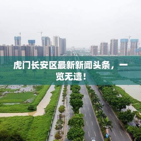 虎门长安区最新新闻头条，一览无遗！