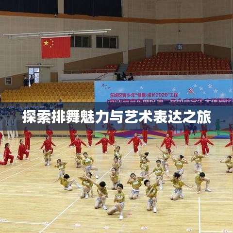 探索排舞魅力与艺术表达之旅