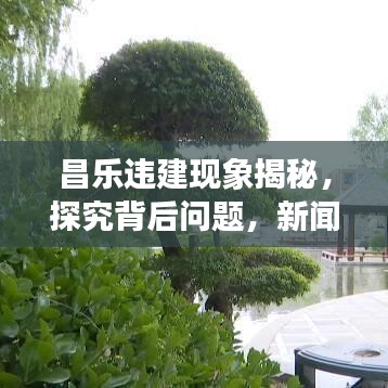昌乐违建现象揭秘，探究背后问题，新闻头条关注！