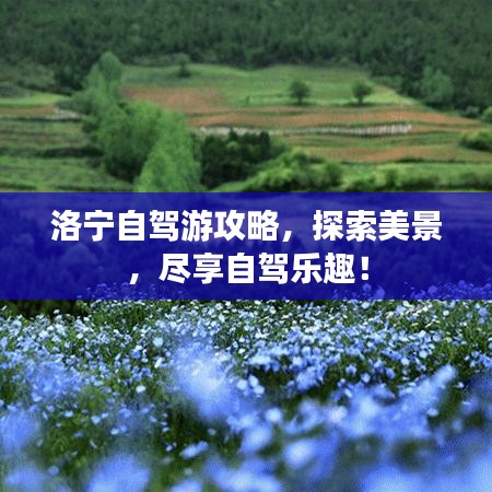 洛宁自驾游攻略，探索美景，尽享自驾乐趣！