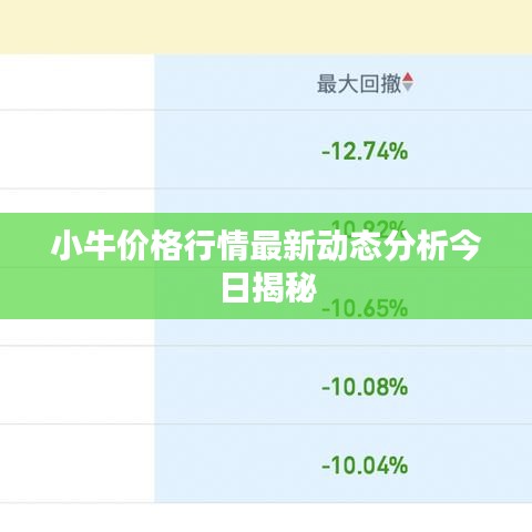 小牛价格行情最新动态分析今日揭秘