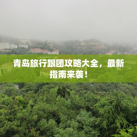 青岛旅行跟团攻略大全，最新指南来袭！
