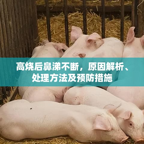 高烧后鼻涕不断，原因解析、处理方法及预防措施