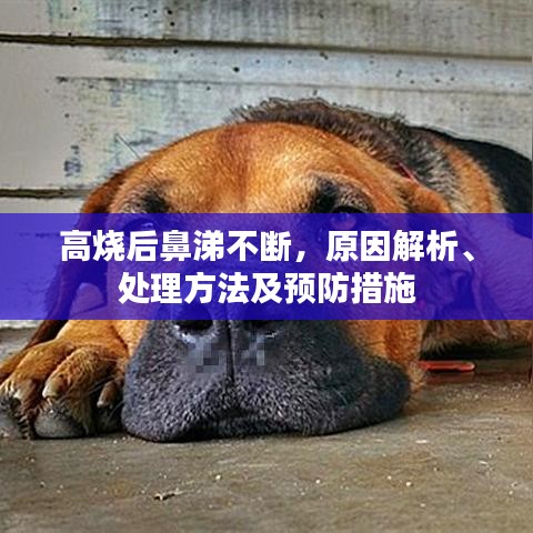 高烧后鼻涕不断,原因解析、处理方法及预防措施