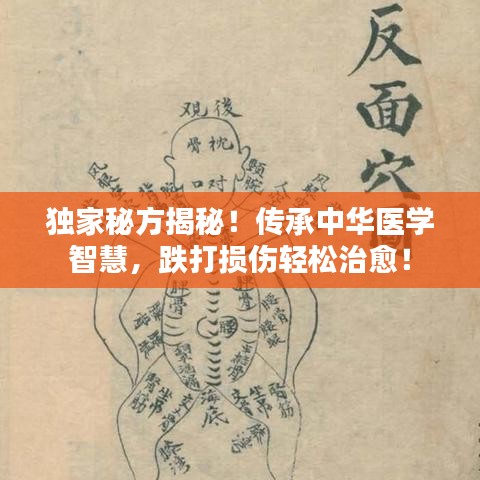 独家秘方揭秘!传承中华医学智慧,跌打损伤轻松治愈!
