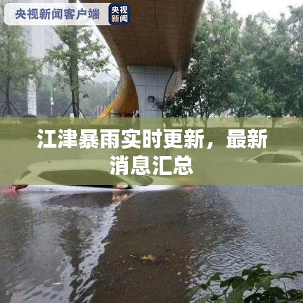 还淳反素 第7页