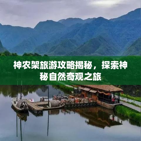 神农架旅游攻略揭秘,探索神秘自然奇观之旅