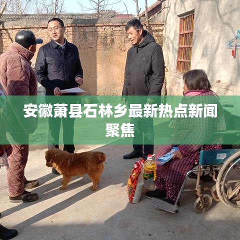 安徽萧县石林乡最新热点新闻聚焦