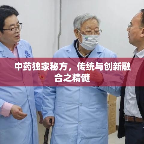 中药独家秘方，传统与创新融合之精髓