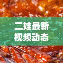 二娃最新视频动态揭秘，今日更新消息抢先看！