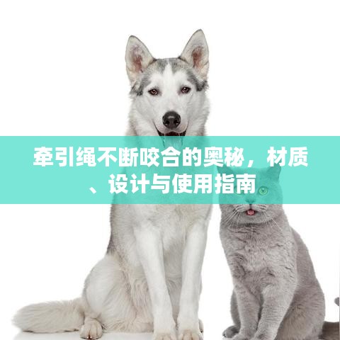 牵引绳不断咬合的奥秘,材质、设计与使用指南