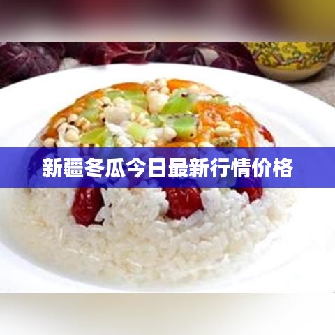 新疆冬瓜今日最新行情价格