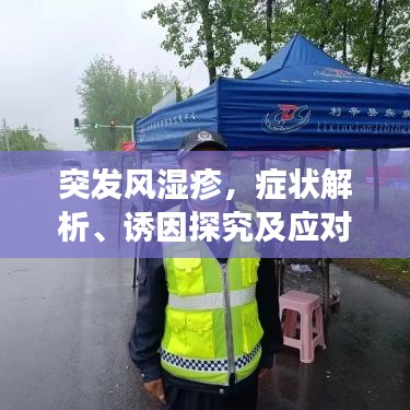 突发风湿疹，症状解析、诱因探究及应对方法