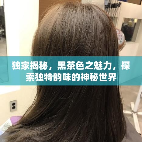 独家揭秘,黑茶色之魅力,探索独特韵味的神秘世界